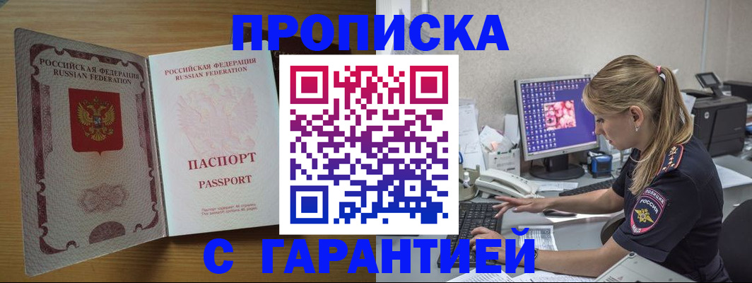 найти адрес прописки в Курчалом